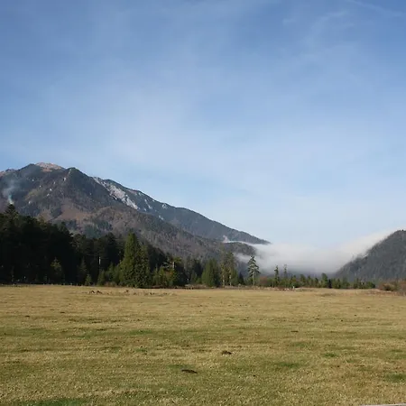 Koliba